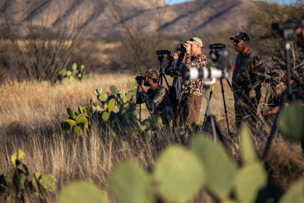 A group of people taking pictures of cactus in their home desert.